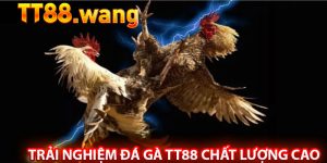 Đá Gà TT88 Đỉnh Cao